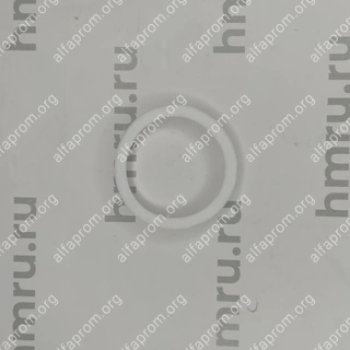 Уплотнительное кольцо PTFE на дозирующий поршень для LPF/PPF-1000