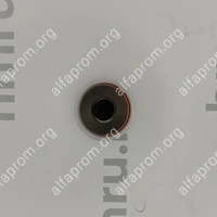 Поршень с кольцами (PTFE) для LPF/PPF-50(T)